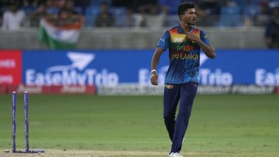 দিলশান মাদুশাঙ্কা, ফাইল ছবি।