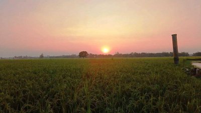হেমন্ত এসেছে নীরবে