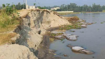 সিরাজগঞ্জে বাঁধের প্রায় ১৫০ মিটার যমুনা নদীতে বিলীন হয়ে গেছে