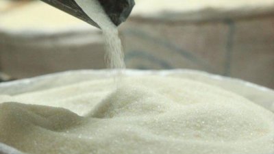 চিনির মজুত খুঁজতে গোয়েন্দা সংস্থাকে নজরদারির সুপারিশ