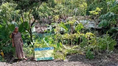 খুলনায় ১৮ হাজার ৪৮৩ হেক্টর জমির নানা ধরেনর ফসল ক্ষতিগ্রস্ত