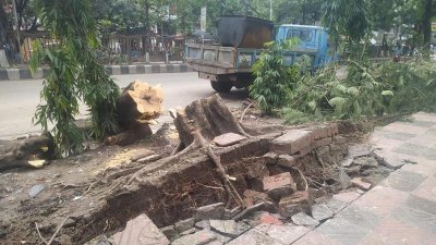 রাজধানীতে ঝড়বৃষ্টির সময়ে ১৭ স্থানে আগুন, ভেঙে পড়েছে অনেক গাছ