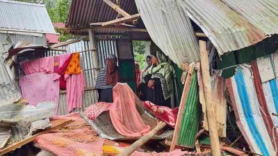 কসবায় গাছচাপায় প্রাণ গেলো যুবকের, স্ত্রী আহত