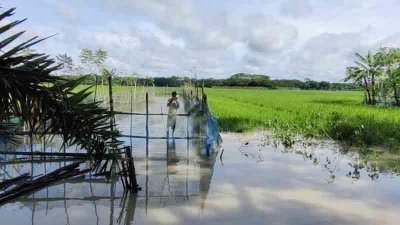 বাগেরহাটে কৃষি ও মৎস্য খাতে ক্ষতচিহ্ন রেখে গেছে সিত্রাং