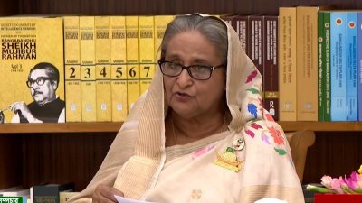 সারাদেশে ১০০ সেতুর উদ্বোধন করলেন প্রধানমন্ত্রী