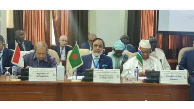 রোহিঙ্গা বিষয়ে ওআইসি'র মন্ত্রী পর্যায়ের এডহক কমিটির বৈঠকের একাংশ