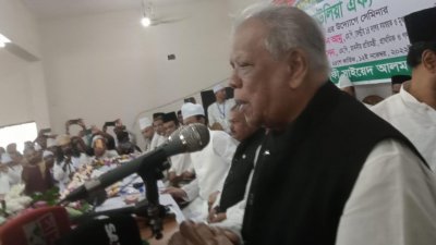 বক্তব্য রাখছেন আমির হোসেন আমু