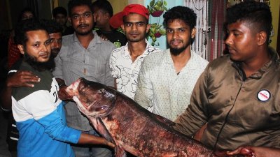 রামসাগরে বড়শিতে আটকালো ৩০ কেজির বিগহেড ও ২৫ কেজির কচ্ছপ