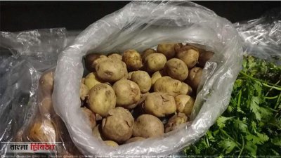 নতুন আলু