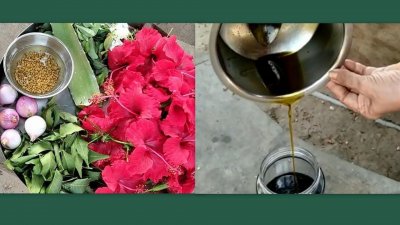 ঘন চুলের জন্য ভেষজ তেল বানাবেন যেভাবে