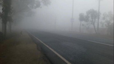 ঘন কুয়াশার কারণে পিকআপ ভ্যানের নিয়ন্ত্রণ হারিয়ে ফেলেন চালক (ফাইল ছবি)