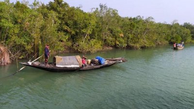 সুন্দরবনে মাছ ধরতে যাচ্ছেন জেলে ও বনজীবীরা