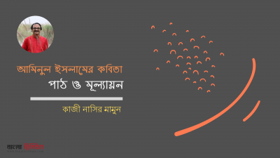 আমিনুল ইসলামের কবিতা : পাঠ ও মূল্যায়ন