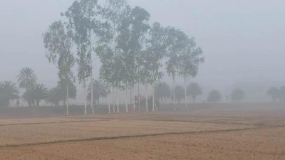 কুয়াশাচ্ছন্ন শীতের সকাল
