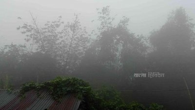 ঘন কুয়াশার পাশাপাশি বইছে হিমেল হাওয়া