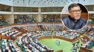 সংসদে নার্সিং ও মিডওয়াইফারি কাউন্সিল সংশোধন বিল পাস
