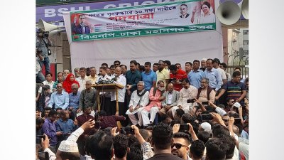১৮ ফেব্রুয়ারি সব মহানগরে পদযাত্রা কর্মসূচি বিএনপির  