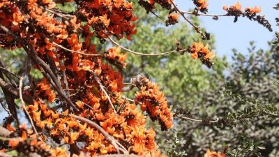 ছবি: নাসিরুল ইসলাম
