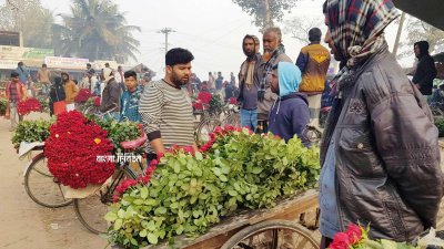 ভালোবাসা দিবস ঘিরে ২ কোটি টাকার গোলাপ বিক্রি