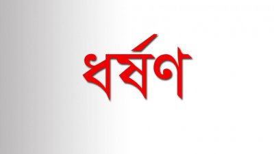 গৃহপরিচারিকাকে ধর্ষণের অভিযোগে চেয়ারম্যানের ছেলের বিরুদ্ধে মামলা