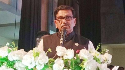 মাহবুব উল আলম হানিফ (ফাইল ছবি)