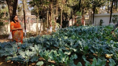 ডিসি ইয়াছ‌মিন পারভীন তিবরী‌জি নি‌জের বাং‌লোর আঙিনায় পতিত জ‌মি‌‌তে ক‌রে‌ছেন বিভিন্ন সবজির আবাদ