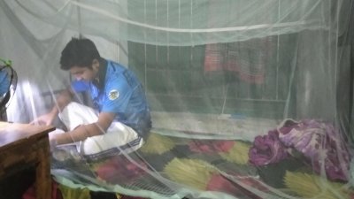 মশার উপদ্রব থেকে রেহায় পেতে মশারি টানিয়ে পড়াশোনা করছেন এ শিক্ষার্থী