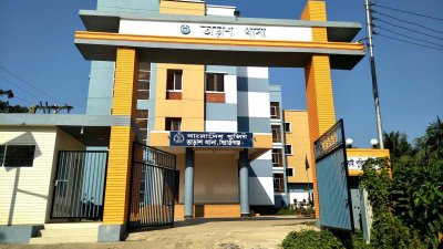 চালককে হত্যা করে অটোরিকশা ছিনতাই, বিক্রি করতে গিয়ে ধরা
