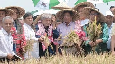 ধান কেটেছেন দুই মন্ত্রী ও এক উপমন্ত্রী
