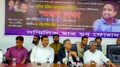 ভোট চুরির প্রকল্পের কাজ প্রতিদিন চলছে: আমির খসরু