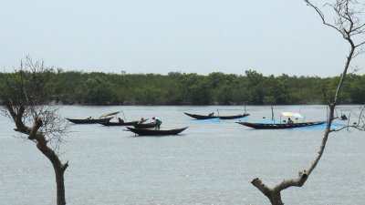 বঙ্গোপসাগর ও সুন্দরবনে সব ধরনের মাছ ধরায় নিষেধাজ্ঞা