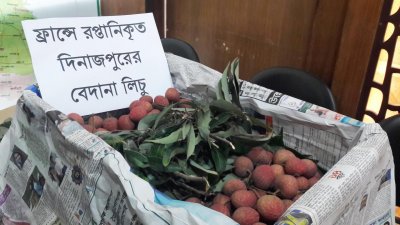 ফ্রান্সে  গেলো দিনাজপুরের লিচু