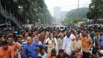 স্মারকলিপি প্রদানের আগে বিদ্যুতের দাবিতে বক্তব্য রাখছেন ঢাকা জেলা বিএনপির সাধারণ সম্পাদক নিপুন রায় চৌধুরী