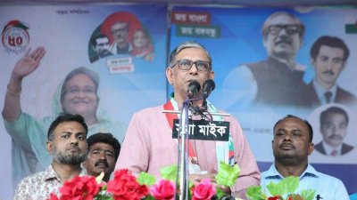 আ ফ ম বাহাউদ্দিন নাছিম