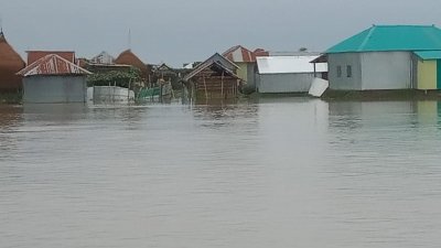 কুড়িগ্রামের নিম্নাঞ্চল প্লাবিত হয়ে নদ-নদী আববাহিকার আট শতাধিক পরিবার পানিবন্দি