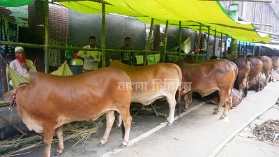 আয় ও ক্রয়ক্ষমতা হ্রাসের কারণে মধ্যবিত্ত মানুষের সামর্থ্য কমে এসেছে   ছবি: সাজ্জাদ হোসেন