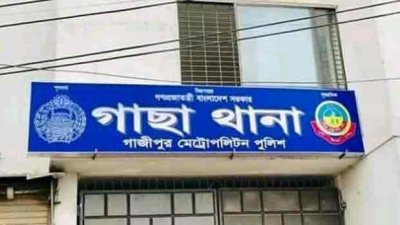 সংগৃহীত ছবি