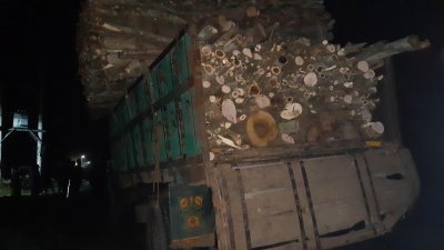 কাঠবোঝাই ট্রাকে ধাক্কা দেয় পিকআপ