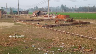 আবাদি জমি দখল করে গড়ে উঠেছে আবাসন প্রকল্প
