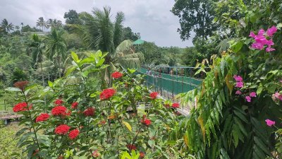 খাগড়াছড়ি জেলা পরিষদ পার্ক