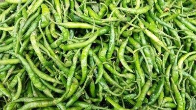 কাঁচা মরিচ