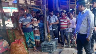 মানিকগঞ্জের বাজারে অভিযান