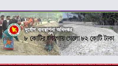 দুর্যোগ ব্যবস্থাপনা অধিদফতর, গ্রাফিকস: বাংলা ট্রিবিউন