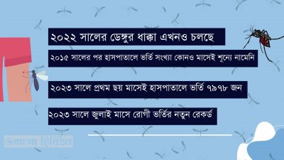 গত বছর ডেঙ্গুর যে প্রাদুর্ভাব শুরু হয় সেটা এখনও চলমান বলে মনে করছেন বিশেষজ্ঞরা