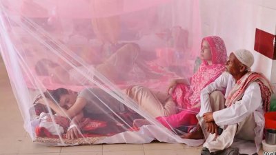 ডেঙ্গু রোগী। ছবি: ফোকাস বাংলা