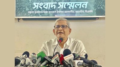 মির্জা ফখরুল ইসলাম আলমগীর (ফাইল ছবি)