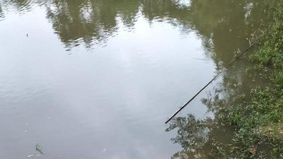 এই পুকুর থেকেই আরিফের মরদেহ উদ্ধার করা হয়