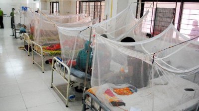 গত ২৪ ঘণ্টায় আরও ৯১ জন ডেঙ্গু রোগী হাসপাতালে ভর্তি হয়েছেন