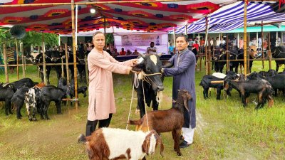 ২০টি গরু ও ৪০টি ছাগল বিতরণ করা হয়েছে