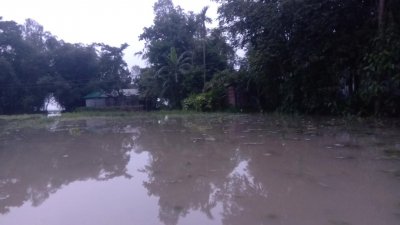 নদী তীরবর্তী এলাকাগুলো প্লাবিত হয়েছে